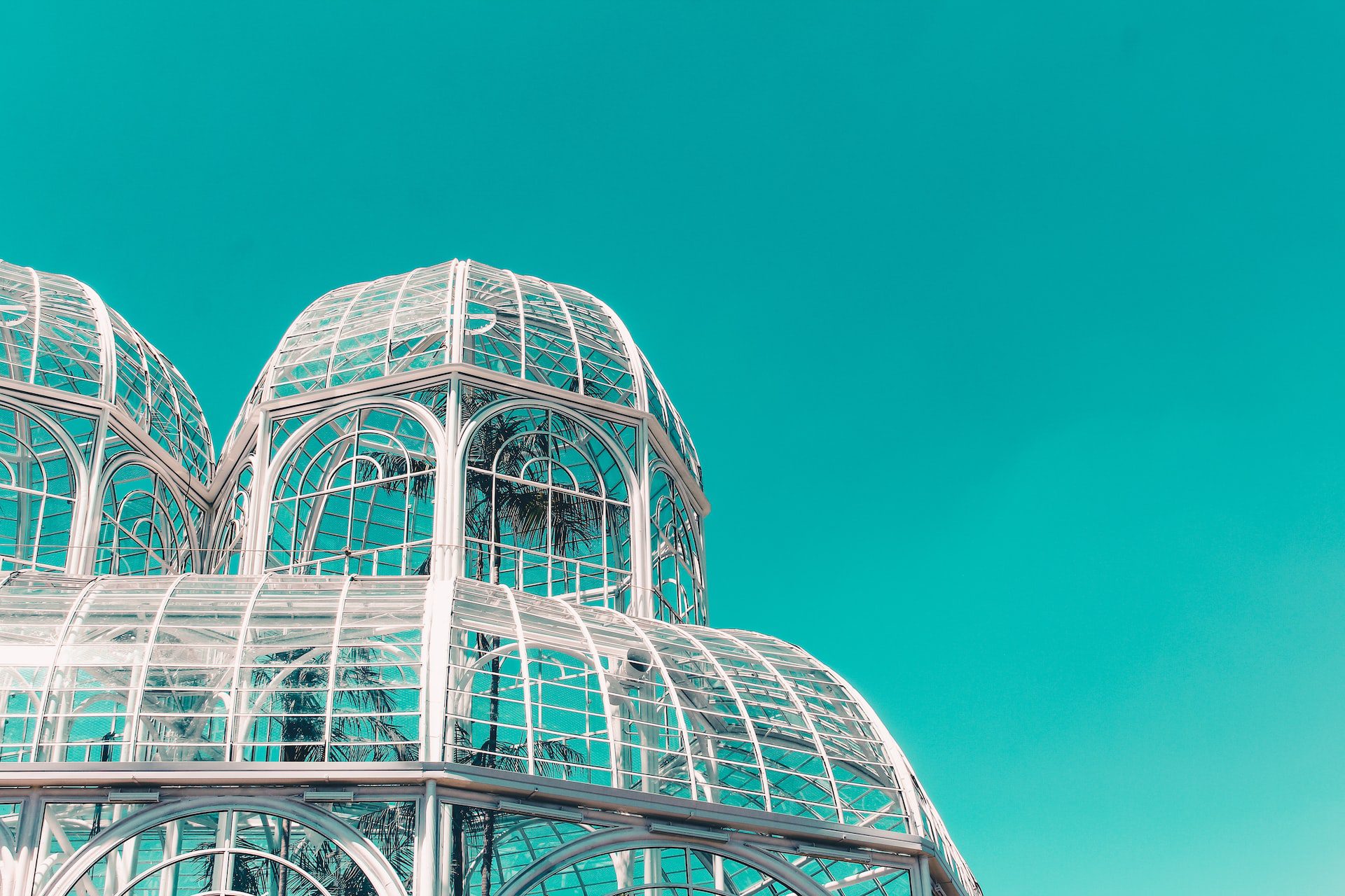 Greenhouse Silhouette Of Curitiba Botanical Garden Stock Photo - Download  Image Now - iStock